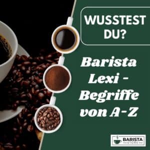 Barista Lexi - Begriffe von A-Z